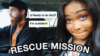 VLOG Getting a pet in Japan  OPERATION RESCUE BAE [upl. by Saul]