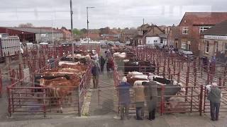 Malton Livestock Market  4th May 2018 [upl. by Dnumyar]