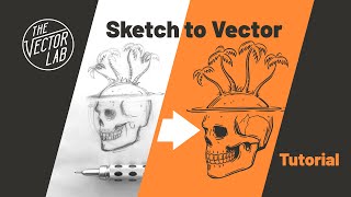 Convert Drawings Into VECTOR Graphics • Illustrator amp Procreate Tutorial [upl. by Talich]