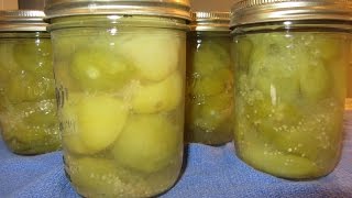 CANNING TOMATILLOS  how to [upl. by Starinsky]