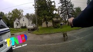 Officer shoots dog that ran at him [upl. by Sokcin814]