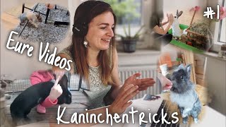 Kaninchentricks  Eure Videos [upl. by Nelyk372]