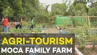 Agri tourism MoCa Family Farm Agribusiness Ideas in the Philippines [upl. by Brasca]