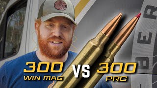 300 Win Mag vs 300 PRC  Why are People Buying this Cartridge [upl. by Sarine]