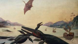 Fossil hunter Mary Anning inspires art [upl. by Caldwell170]