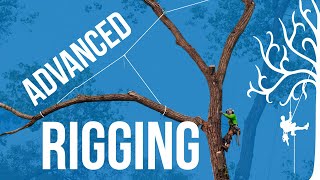 Advanced Rigging techniques over lines how to use GRCS for lifting branches Dangerous trees [upl. by Yelena156]