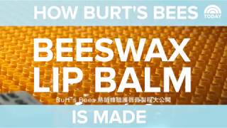 Burt’s Bees 護唇膏製作過程大公開 [upl. by Sirehc]