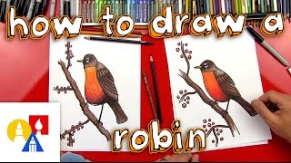 How To Draw A Robin Bird realistic [upl. by Annohs]