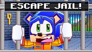 Sonics PRISON LIFE in Minecraft [upl. by Hephzipah856]