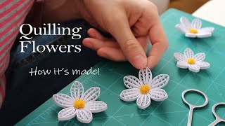 Paper Quilling Flowers  How Its Made  No4  DIY [upl. by Scully]