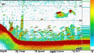 Tips N Tricks 93 Humminbird Switchfire 2D Sonar Settings [upl. by Jose]