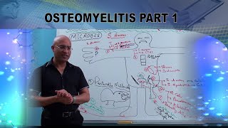 Osteomyelitis  Causes amp Symptoms  Bone Infection🩺 [upl. by Suoirrad516]