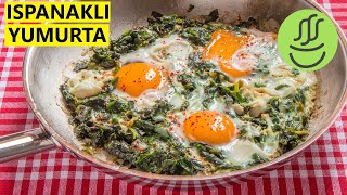 Ispanaklı Yumurta  Yumurtalı Ispanak [upl. by Euqinomad430]