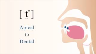 t̪⁼  unvoiced unaspirated apical dental stop [upl. by Aicyla]