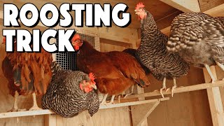 Chicken Roosting Bars Ideas To Help Your Flock Roost  Special Trick That SAVED Us [upl. by Ettenawtna249]