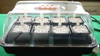 How To Use A Heated Propagator [upl. by Nnaaihtnyc]