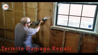 How To Repair Termite Damage in Wall Framing [upl. by Otrebor]