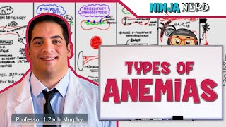 Hematology  Types of Anemias [upl. by Venator]