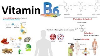 Vitamin B6  structuresource and deficiency associated diseases [upl. by Geiss]