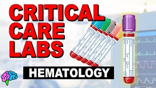 How to Interpret RBC Indices eg hemoglobin vs hematocrit MCV RDW [upl. by Melise]