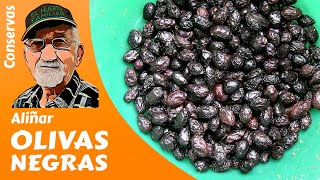 ACEITUNAS 𝗡𝗘𝗚𝗥𝗔𝗦 CÓMO ALIÑAR OLIVAS NEGRAS [upl. by Cleveland941]