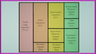 Lung Volumes and Capacities Made Easy [upl. by Kessel]