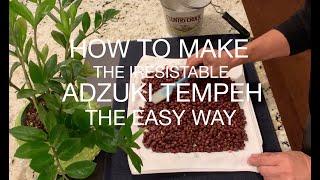 How To Make The Iresistable Adzuki Tempeh The Easy Way [upl. by Oiligriv]