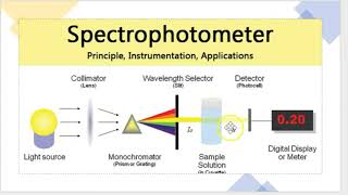 spectrophotometer working principle [upl. by Dian]