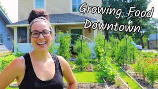 Urban Homesteading  Grow an Abundance of Food on 15th Acre [upl. by Chappelka]