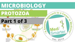 Protozoa  Microbiology  USMLE STEP 1  Part 1 of 3 [upl. by Melisa888]