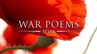 The Sentry by Wilfred Owen  World War Poems [upl. by Oiraved864]