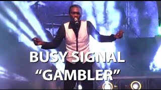 Busy Signal  The Gambler Lyrics [upl. by Kucik]