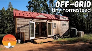 OffGrid Tiny House Homestead  Amazing DIY Timber Frame Tiny Home [upl. by Osmund]