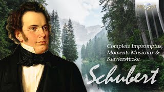 Schubert Complete Impromptus Moments Musicaux amp Klavierstücke [upl. by Etteniotnna]