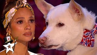 Judges Cry Over Emotional Dog Magic Act on Britains Got Talent 2020  Magicians Got Talent [upl. by Ona]