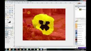 Gimp 28 Tools Tutorial  How to use Selection Tools [upl. by Attennod499]