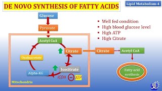 4 De Novo synthesis of Fatty acid  Lipid metabolism4  Biochemistry  NJOY Biochemistry [upl. by Calvano434]