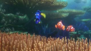 Disney Pixar  Finding Dory Full Story [upl. by Eikkin]