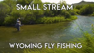 Small Stream Fly Fishing  Sheridan Wyoming [upl. by Nonnahc]