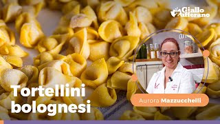 Come fare i TORTELLINI FATTI IN CASA  Ricetta di Aurora Mazzucchelli [upl. by Eneja415]