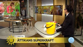 Marlene visar upp ättikans superkraft  Nyhetsmorgon TV4 [upl. by Selry]