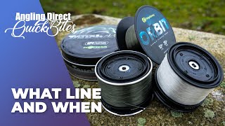 What Line And When  Carp Fishing Quickbite [upl. by Ocirema951]