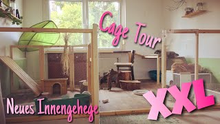 Neues XXL Innengehege für Kaninchen  Cage Tour [upl. by Aynor]