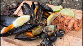 Coastal Foraging  Shellfish Beach Cook Up [upl. by Lefton]