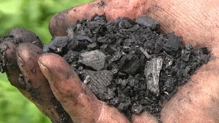 Biochar Workshop Part 1 How to Make Biochar [upl. by Elahcim926]