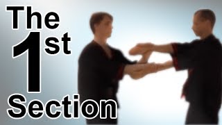 Wing Tsun 1st Chi Sau Section [upl. by Pierrepont]