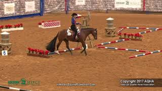 A Judges Perspective 2017 AQHA Select Trail World Champion [upl. by Llenrap]