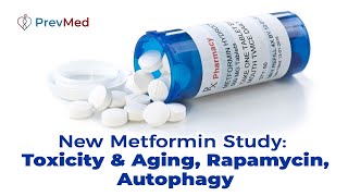 New Metformin Study Toxicity amp Aging Rapamycin Autophagy [upl. by Lennon898]