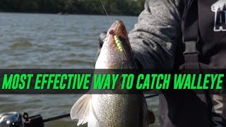 The Most EFFECTIVE Way To Catch WALLEYE EASY How To [upl. by Adikam596]