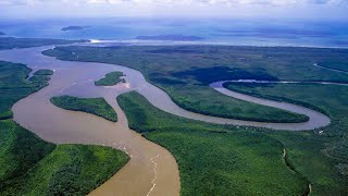 Cairns  Daintree Rainforest [upl. by Anwahsad79]